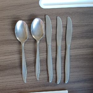 Vintage WM. Rogers & Son. Stainless Table Spoons and Butter Knives